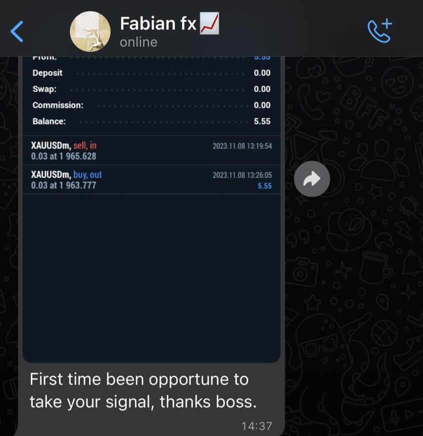 Member synthetic profit result 4